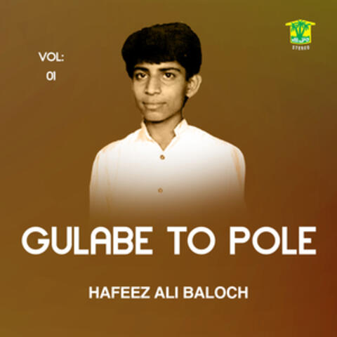 Gulabe To Pole, Vol. 01