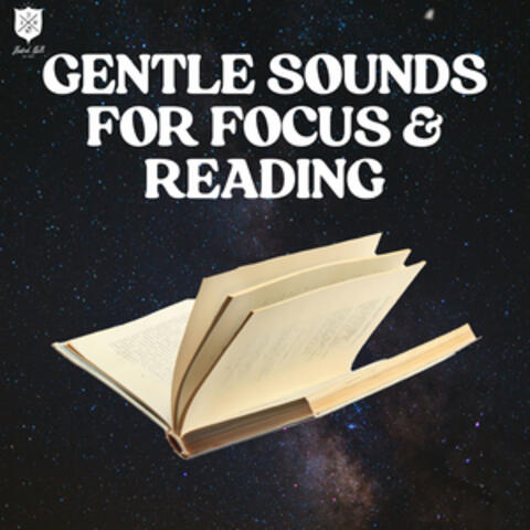 Gentle Sounds For Focus & Reading