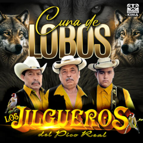 Jilgueros del Pico Real