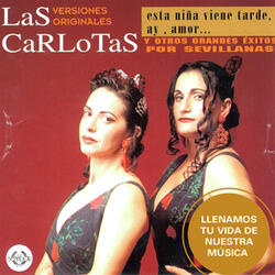 Mi Carreta
