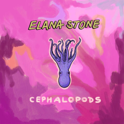 Cephalopods