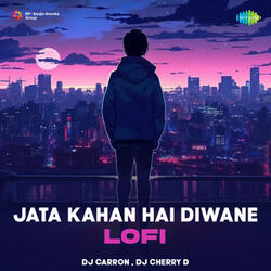 Jata Kahan Hai Diwane