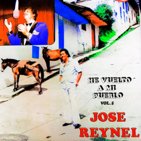 He Vuelto A Mi Pueblo Vol. 5