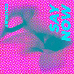 SAY NOW (DON'T CARE)