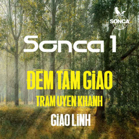 Đêm Tâm Giao (1971)