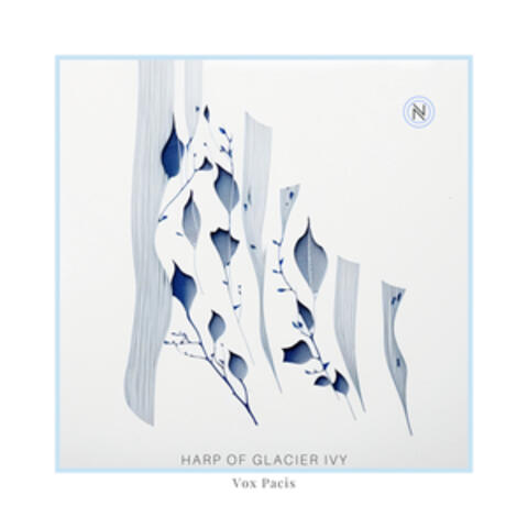 Harp of Glacier Ivy