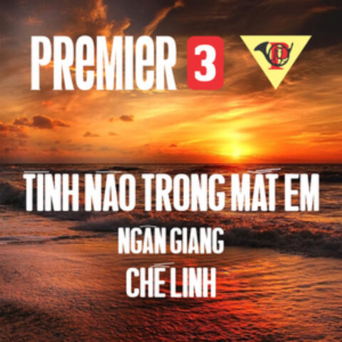 Tình Nào Trong Mắt Em (1972)