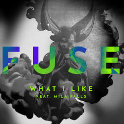 What I Like (feat. Mila Falls)