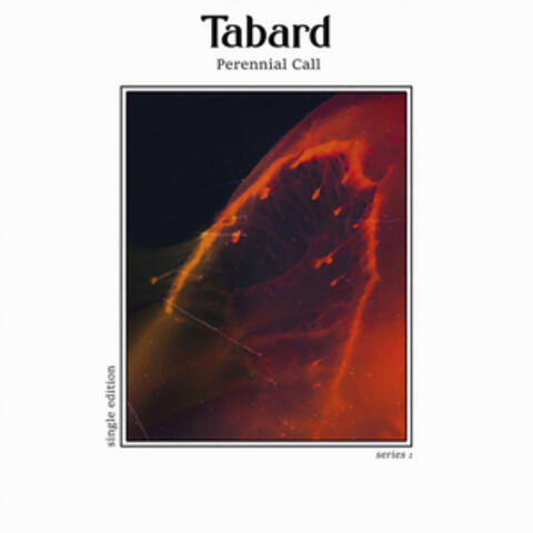 Perennial Call (Tabard Series 1)