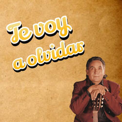 Te voy a Olvidar