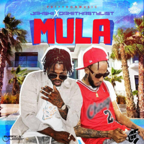 Mula
