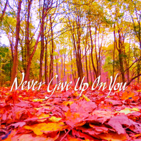 Never Give Up on You