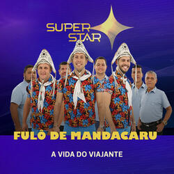 A Vida do Viajante