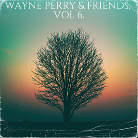 Wayne Perry & Friends, Vol. 6