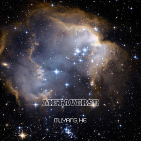 Metaverse