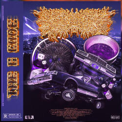 Perc 3000