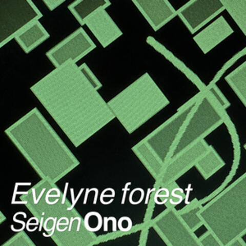 Evelyne forest