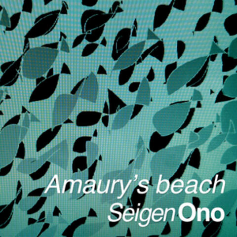 Amaury’s beach