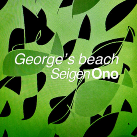 George’s beach