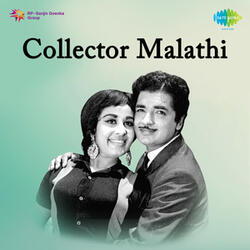 Love Birds (Collector Malathi)