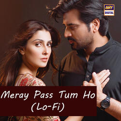 Meray Pass Tum Ho (Lo-Fi)