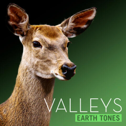 Earth Tones: Valleys