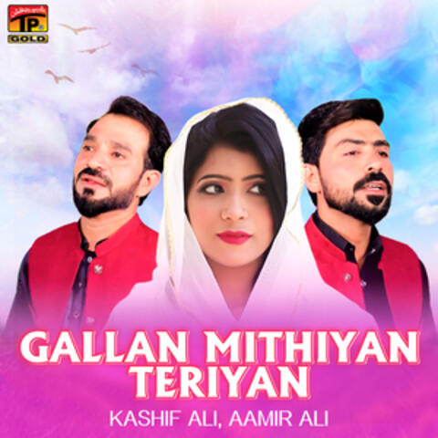 Gallan Mithiyan Teriyan - Single