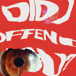 DID I OFFEND YOU?