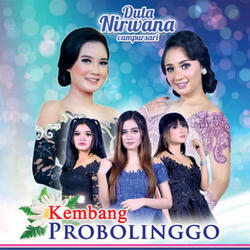 Kembang Probolinggo