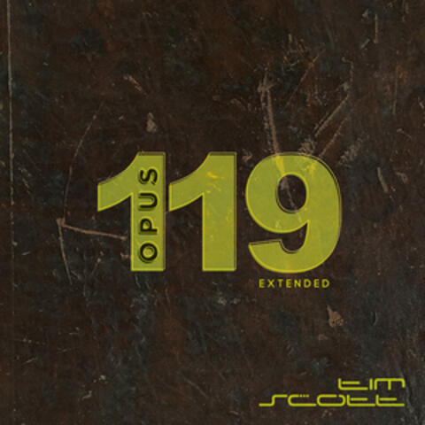 Opus 119