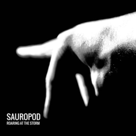 Sauropod