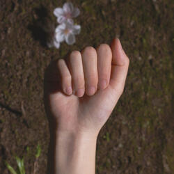 Lost me in the spring