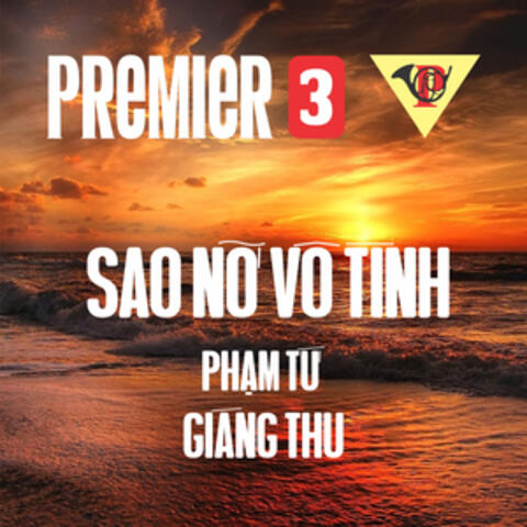 Sao Nỡ Vô Tình
