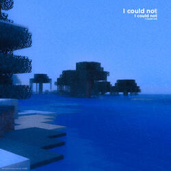 I could not