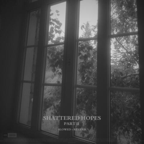 shattered hopes, Pt. 2