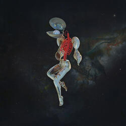 Ludwig in Orbit