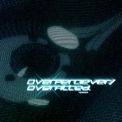 OVERPERCIEVER