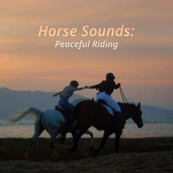 Riding in Hollow Woods