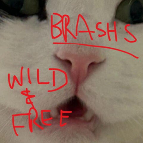 Wild & Free