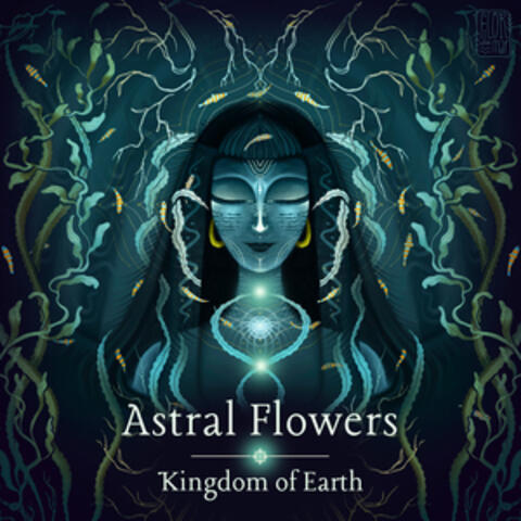 Kingdom of Earth