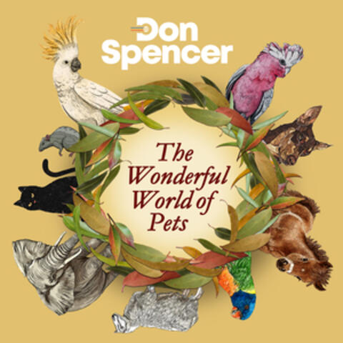 Don Spencer