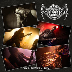 Sun Blackened