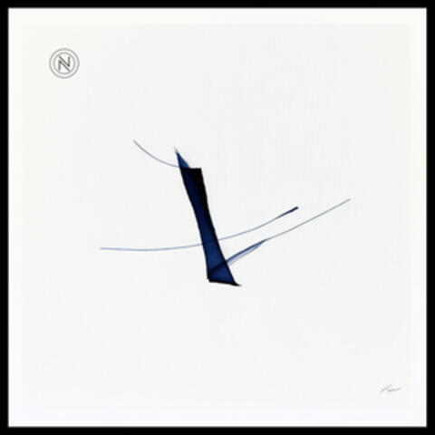 Sounds of the Night Forest