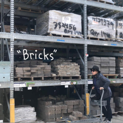 Bricks