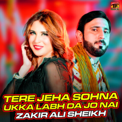 Tere Jeha Sohna Ukka Labh da Jo Nai - Single