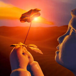 Hold the Sun