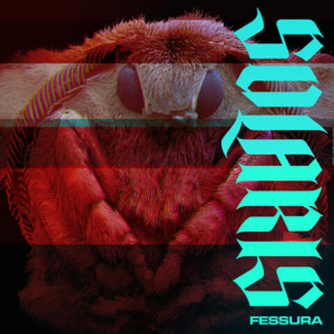 Fessura