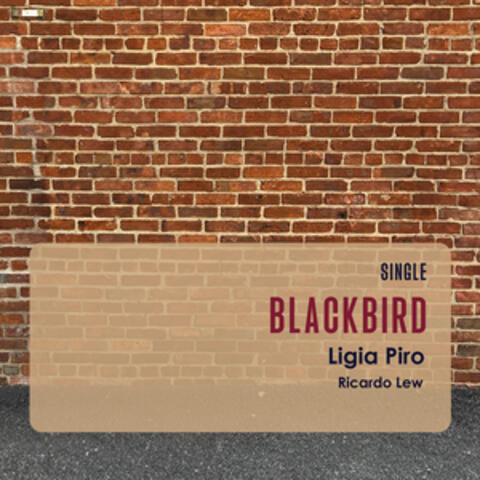 Blackbird