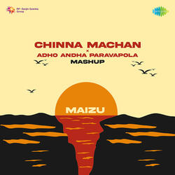 Chinna Machan X Adho Andha Paravaipola