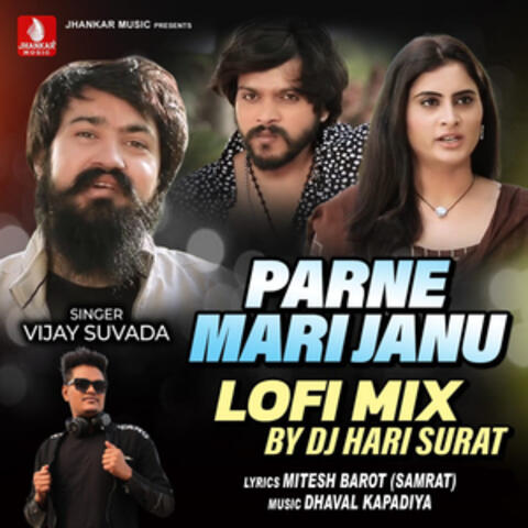 Parne Mari Janu (Lofi Mix)